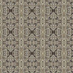 Dry patch of grass blades symmetrical pattern