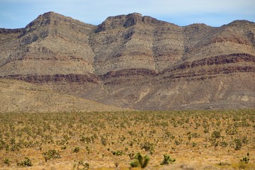 Fototapeta na wymiar Scarred Desert Mountainside