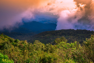 The high mountain panorama nature background, the color of the light changes according to the climate, the wind and the blurred coolness of the mist blowing through, the integrity of the forest