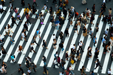 Naklejka premium 渋谷交差点を歩く人々