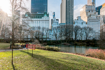 New York City, NY, USA - 25th, December, 2018 - Beautiful cold sunny day in Central Park lake with ducks near Gapstow Bridge.