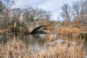 Fototapeta na wymiar New York City, NY, USA - 25th, December, 2018 - Beautiful cold sunny day in Central Park lake with ducks near Gapstow Bridge.