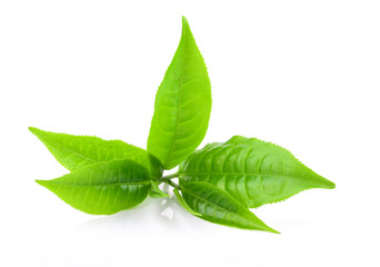 tea leaf isolated on white background © wannadang1