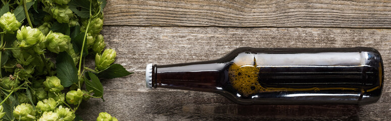 top view of bottled beer near hop on wooden background, panoramic shot