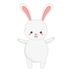 cute rabbit animal on white background