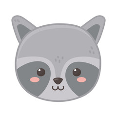 cute raccoon head animal on white background