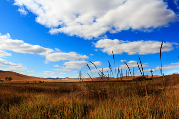 field and blue sky