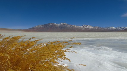 Laguna Blanca on the Potosi plateau in Bolivia, near the Uyuni salt flats