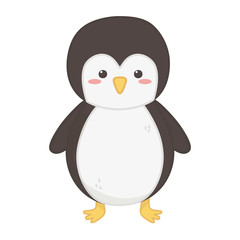 penguin polar animal bird icon