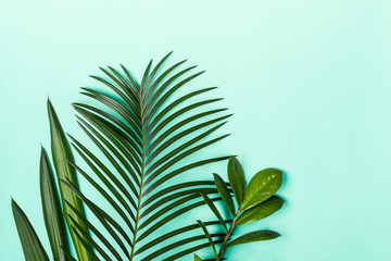 Natural minimalistic layout made of tropical leaves, copy space