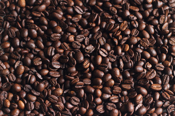 Coffee beans isolated on white background close up