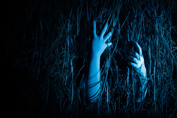 Scary hands reaching out from woods. Halloween concept.