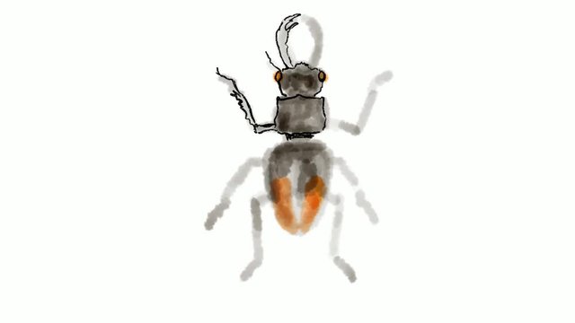Time lapse video 2D animation of a drawing of a Cladognathus, a genus of beetle belonging to the Lucanidae family on white screen in HD high definition.