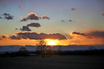 Naklejka premium Sunrise over farm with trees