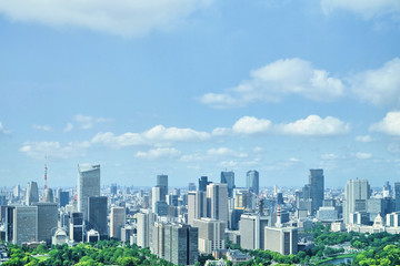 Fototapeta premium 東京風景