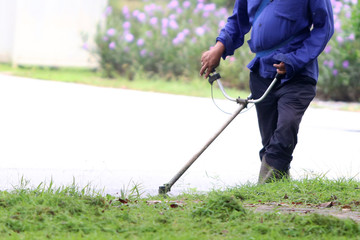 The gardener is cutting grass