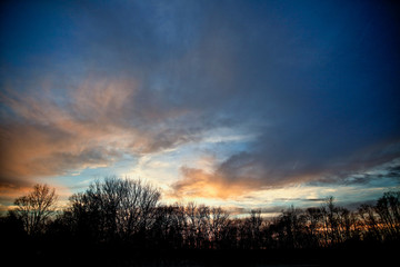 Obraz premium Sunrise thru trees with cloud streaked sky