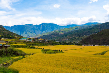 Fototapeta na wymiar Bhutan Paro