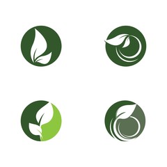 Leaf logo template vector icon