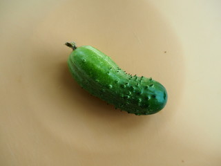 green cucumber closeup on a plate