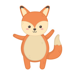 cute fox animal standing on white background