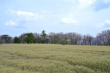 早春の大台ケ原山の情景