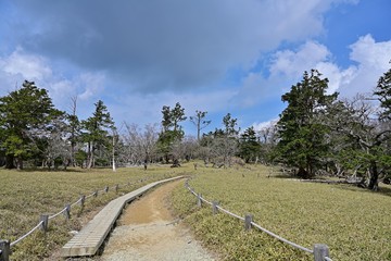 Fototapeta na wymiar 早春の大台ケ原山の情景
