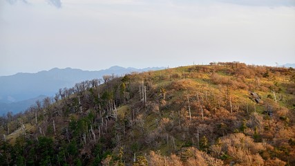 西日に照らされた大台ケ原山正木峠の情景