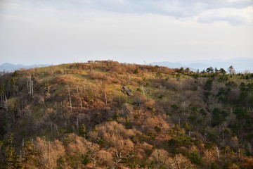 Fototapeta na wymiar 西日に照らされた大台ケ原山正木峠の情景