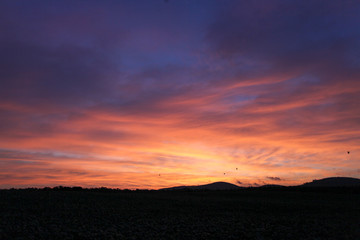 Obraz na płótnie Canvas Sunset over field and hills
