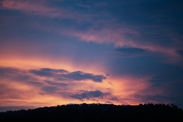 Sunset over treetops