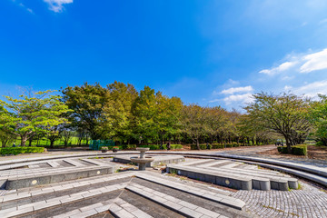 柏の葉公園の噴水広場