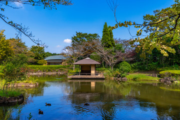 Obraz premium 柏の葉公園の日本庭園