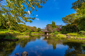 Fototapeta na wymiar 柏の葉公園の日本庭園