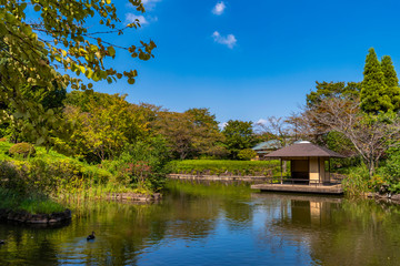 Fototapeta na wymiar 柏の葉公園の日本庭園