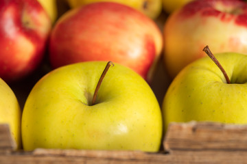Apples. Autumn harvest. Fresh organic red and yellow apples in container, close up
