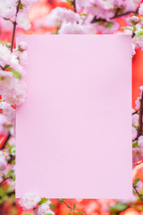 Paper blank between flowering almond branches in blossom. Pink flowers as a frame.