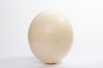 Single white chicken egg isolated on white