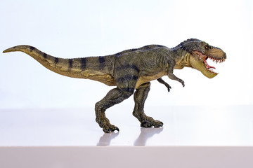 Obraz premium Na białym tle tyranozaur-rex na białym tle