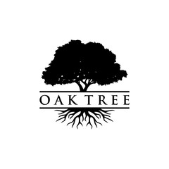 Obraz premium Tree Oak logo design vintage vector 