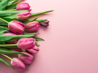 Delicate pink tulips on lightpink background.