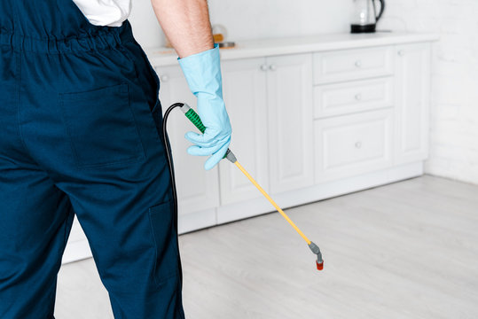 Cropped View Of Exterminator In Uniform Holding Spray With Pesticide Near Kitchen Cabinet