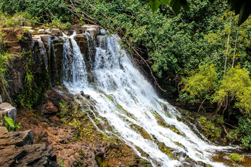 Fototapeta premium Kauai Waterfall