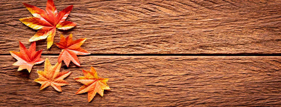 close up top view group of maple leaves on vintage brown retro wood table background texture for autumn season collection design concept	
