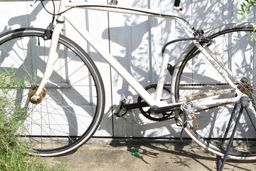Fototapeta na wymiar 白い自転車