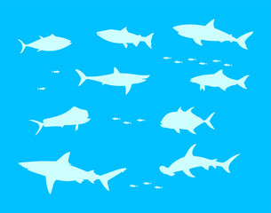 Sea water fish vector