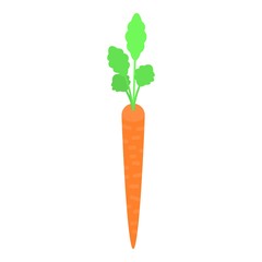 Long thin carrot icon. Isometric of long thin carrot vector icon for web design isolated on white background