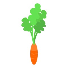 Garden carrot icon. Isometric of garden carrot vector icon for web design isolated on white background