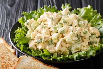 Organic chicken salad with celery, eggs seasoned with sauce closeup on a plate. horizontal