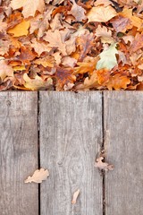 Fallen yellowed autumn leaves on a wooden rustic background, table. Falling leaves natural background. Top view, space for text.